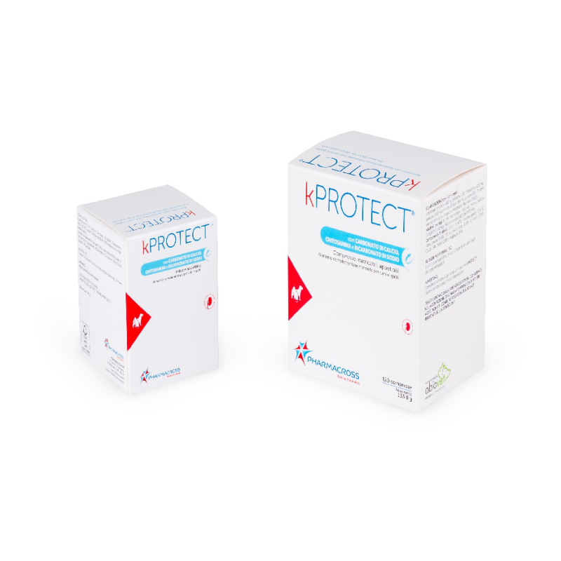 KPROTECT 120 CPR MASTICABILI