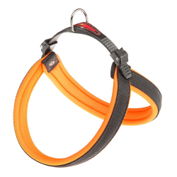 AGILA FLUO 4 PETTORINA ARANCIO