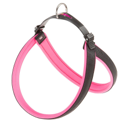 AGILA FLUO 6 PETTORINA FUCSIA