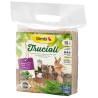 LETTIERA TRUCIOLI 15 LT