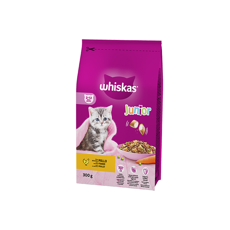 WHISKAS DRY JUNIOR POLLO 300 GR