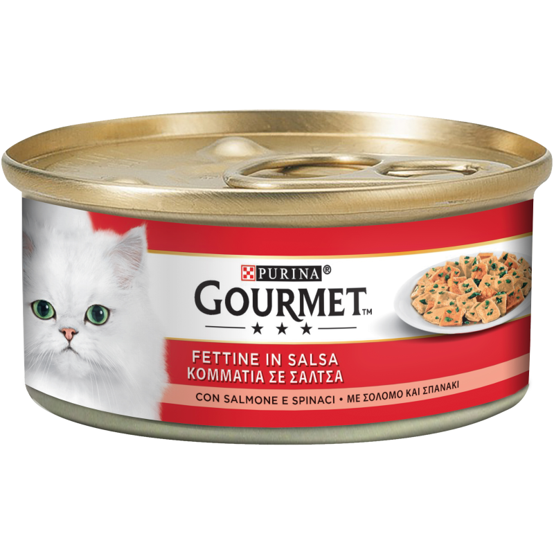 GOURMET FETTINE IN SALSA CON SALMONE E SPINACI 195 GR