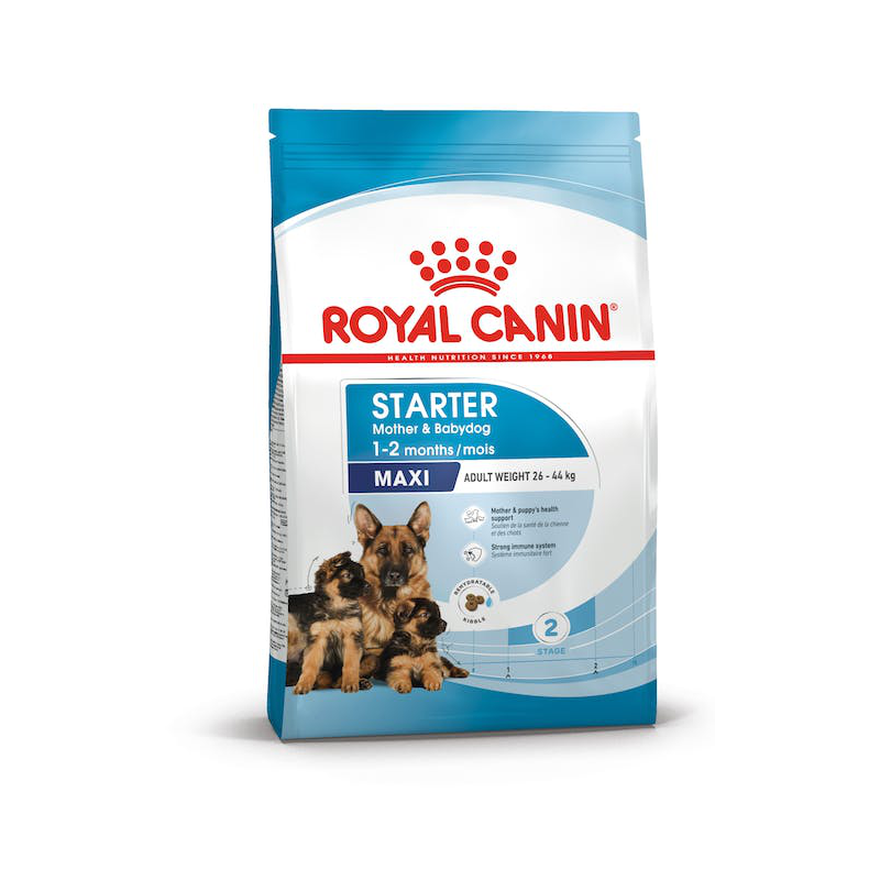 ROYAL DOG STARTER MOTHER & BABYDOG MAXI 4 KG