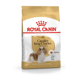 ROYAL DOG CAVALIER KING 1,5 KG