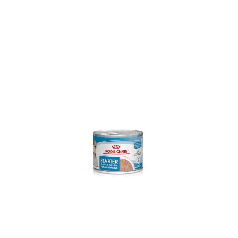 ROYAL DOG STARTER MOUSSE LATTINA 195 GR