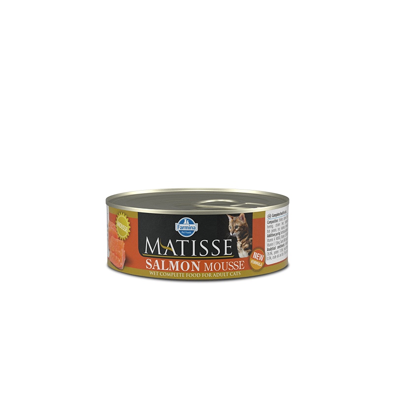 MATISSE MOUSSE SALMONE 85 GR