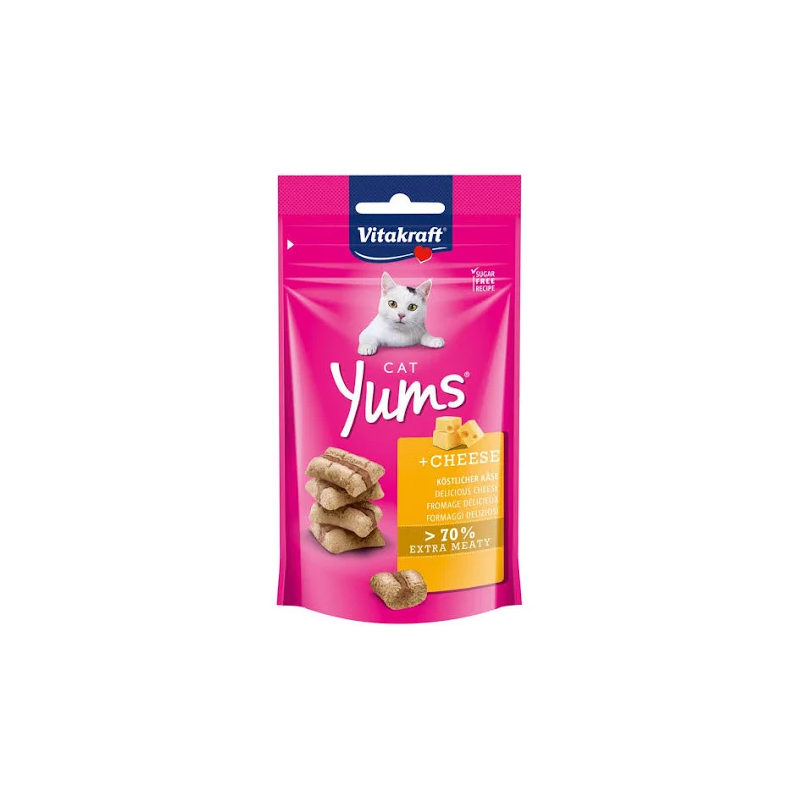 VK CAT YUMS FORMAGGIO 40 GR