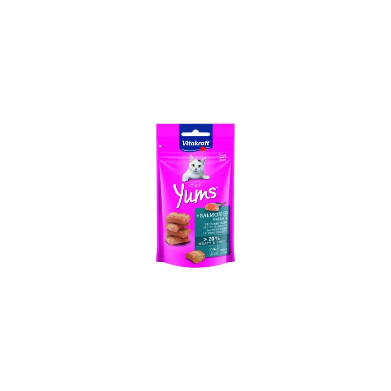 VK CAT YUMS SALMONE 40 GR