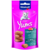 VK CAT YUMS SALMONE 40 GR