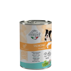 AEQUILIBRIA VET DOG SALMONE 400 GR