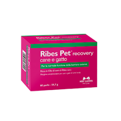 RIBES PET 60 PERLE RECOVERY