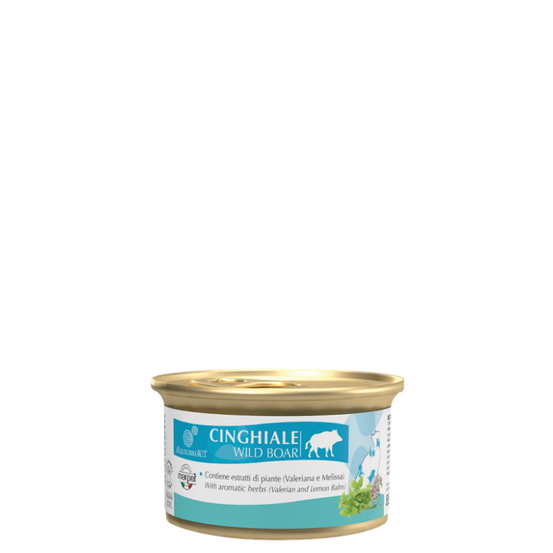 AEQUILIBRIA CAT CINGHIALE 85 GR