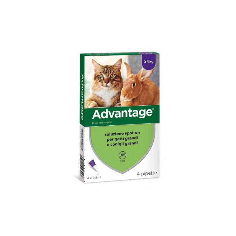 ADVANTAGE GATTI 80 MG OLTRE 4 KG 4 PIPETTE