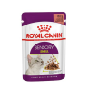 ROYAL CAT SENSORY SMELL SALSA BUSTINA 85 GR