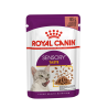 ROYAL CAT SENSORY TASTE SALSA BUSTINA 85 GR