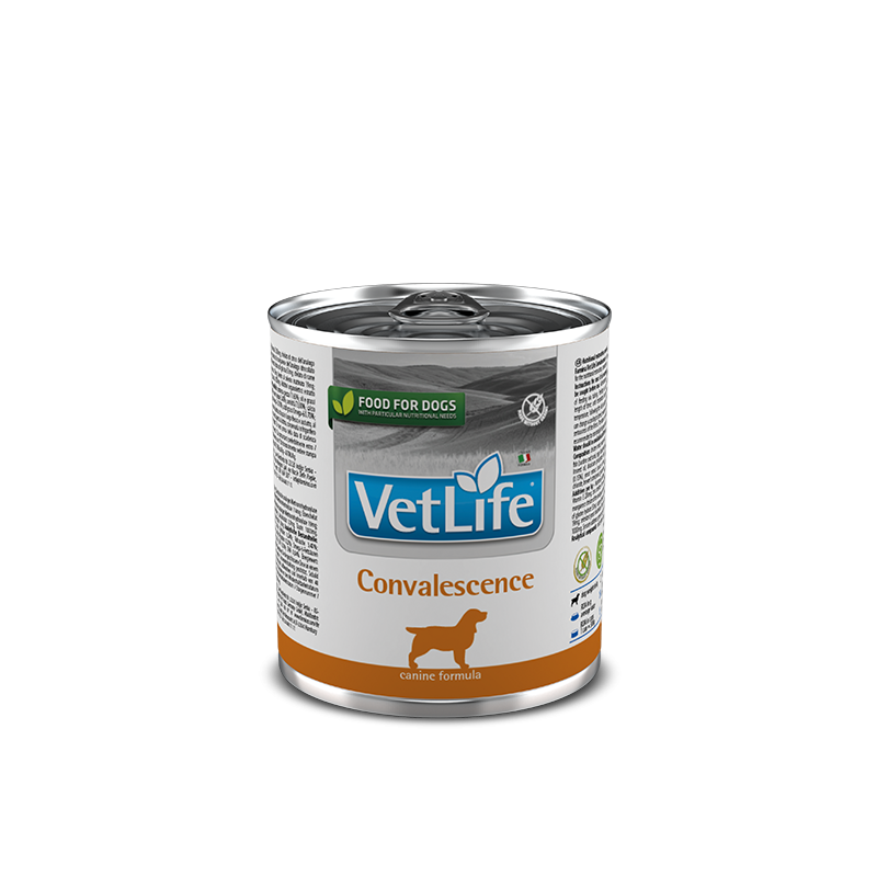 VET LIFE DOG CONVALESCENCE 300 GR