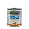 VET LIFE DOG CONVALESCENCE 300 GR