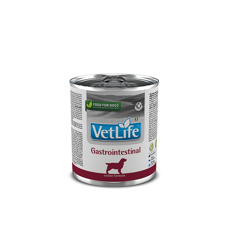 VET LIFE DOG GASTROINTESTINAL 300 GR