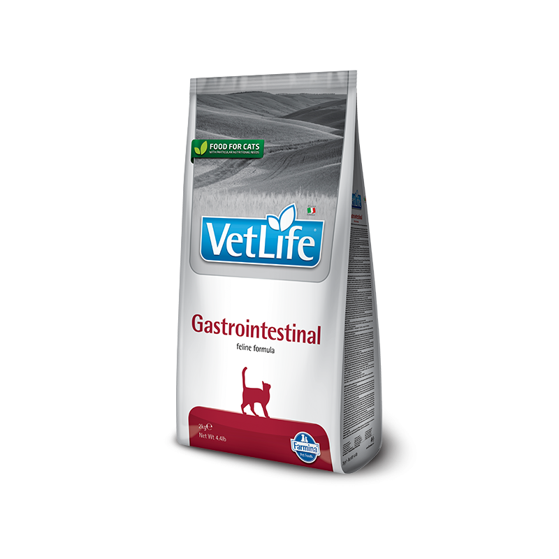 VET LIFE CAT GASTROINTESTINAL 400 GR