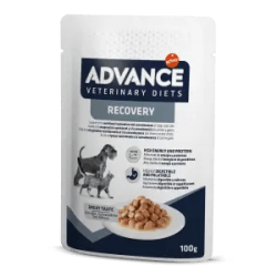 ADVANCE DOG & CAT RECOVERY 100 GR