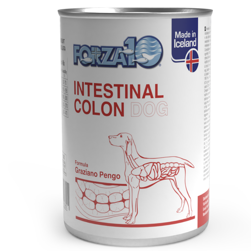 FORZA 10 INTESTINAL COLON ACTIVE LATTINA 390 GR