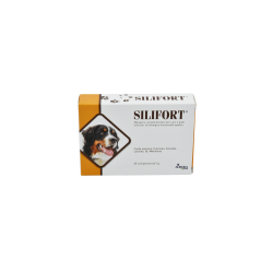 SILIFORT 30 CPR 1 GR