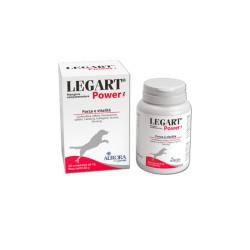 LEGART POWER 60 CPR