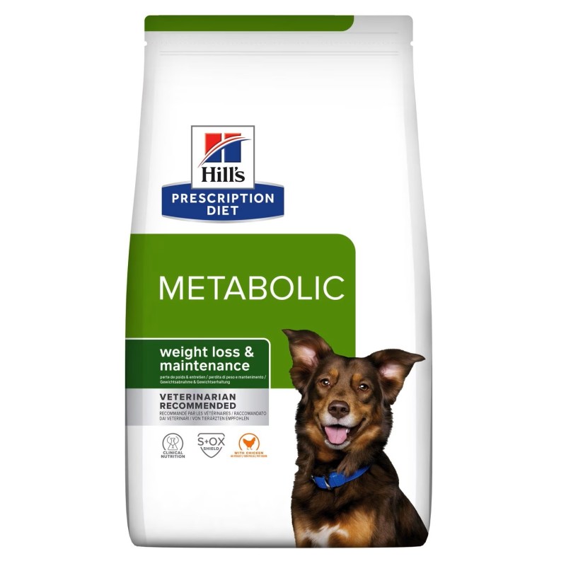 HILLS CANE METABOLIC AGNELLO 10 KG