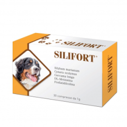 SILIFORT 30 CPR 1 GR