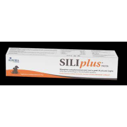 SILIPLUS PASTA 30 GR