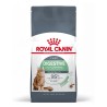 ROYAL CAT DIGESTIVE CARE 2 KG