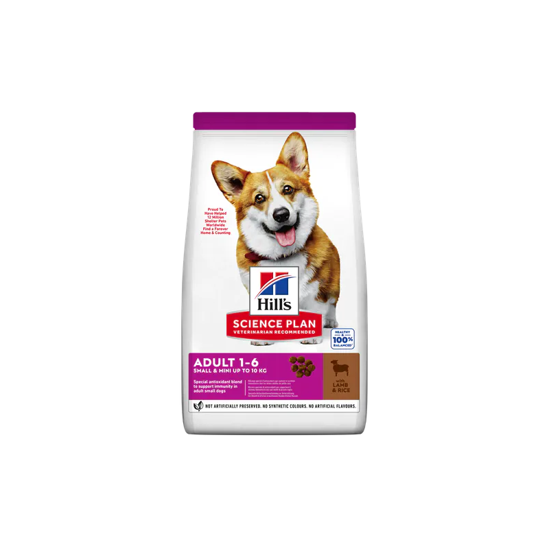 HILLS CANE ADULT SMALL & MINI AGNELLO 300 GR