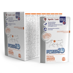 FORZA 10 GATTO RENAL ACTIWET BUSTINA 100 GR