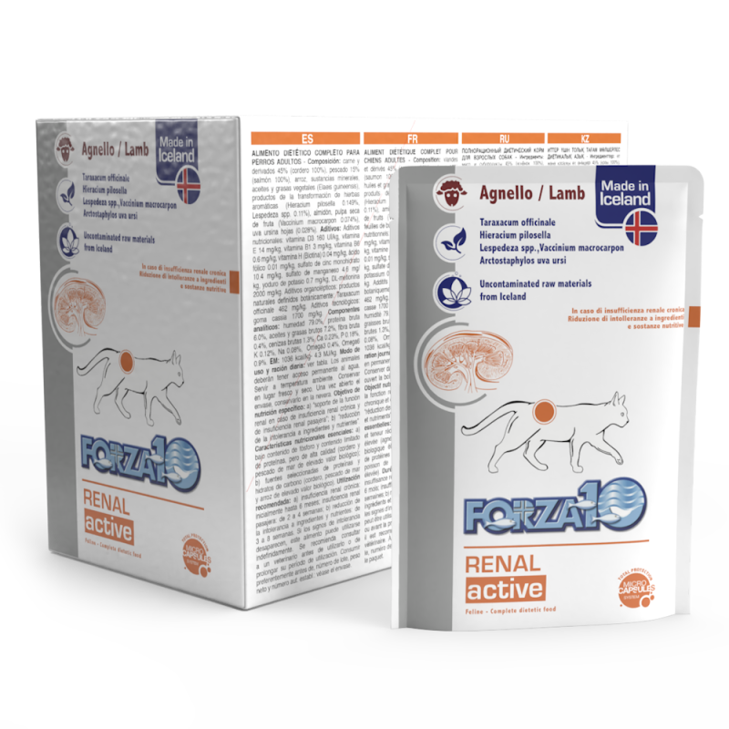 FORZA 10 GATTO RENAL ACTIWET BUSTINA 100 GR