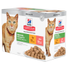 HILLS GATTO SENIOR VITALITY 12 BUSTINE 85 GR