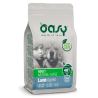 OASY DOG ONE ADULT AGNELLO 2,5 KG