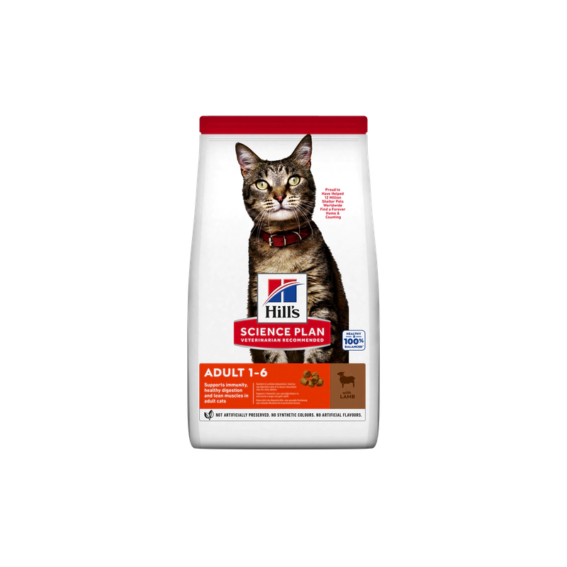 HILLS GATTO ADULT AGNELLO 300 GR