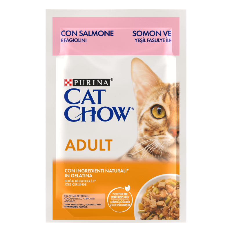 CAT CHOW ADULT SALMONE BUSTINA 85 GR