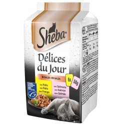 SHEBA DDJ POLLO E SALMONE SALSA 6X50GR