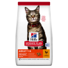 HILLS GATTO ADULT POLLO 300 GR