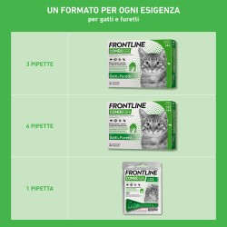 FRONTLINE COMBO GATTO 6 PIPETTE