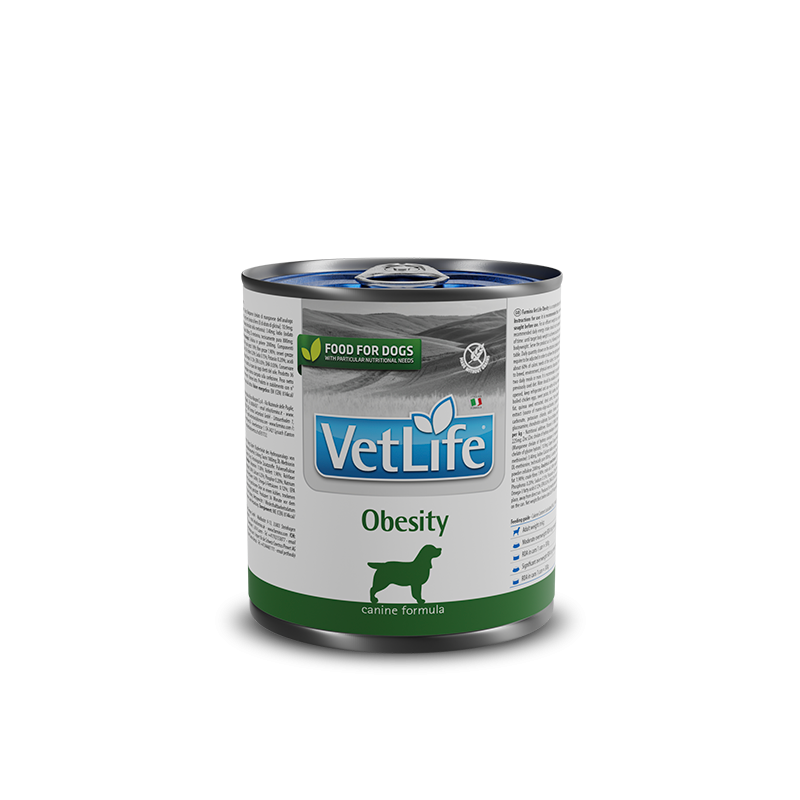 VET LIFE DOG OBESITY 300 GR