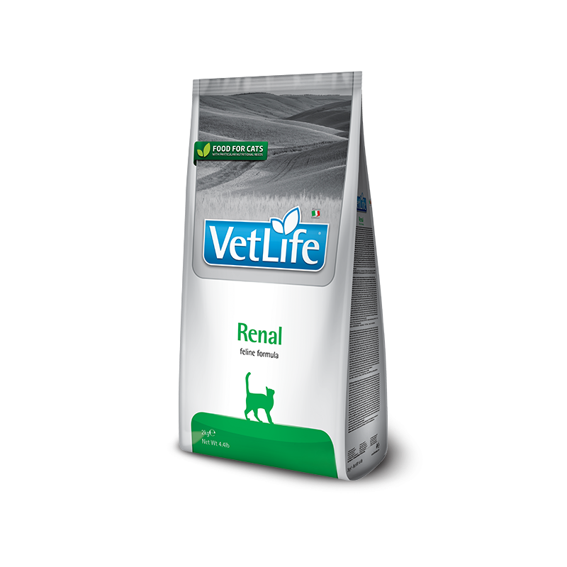 VET LIFE CAT RENAL 400 GR