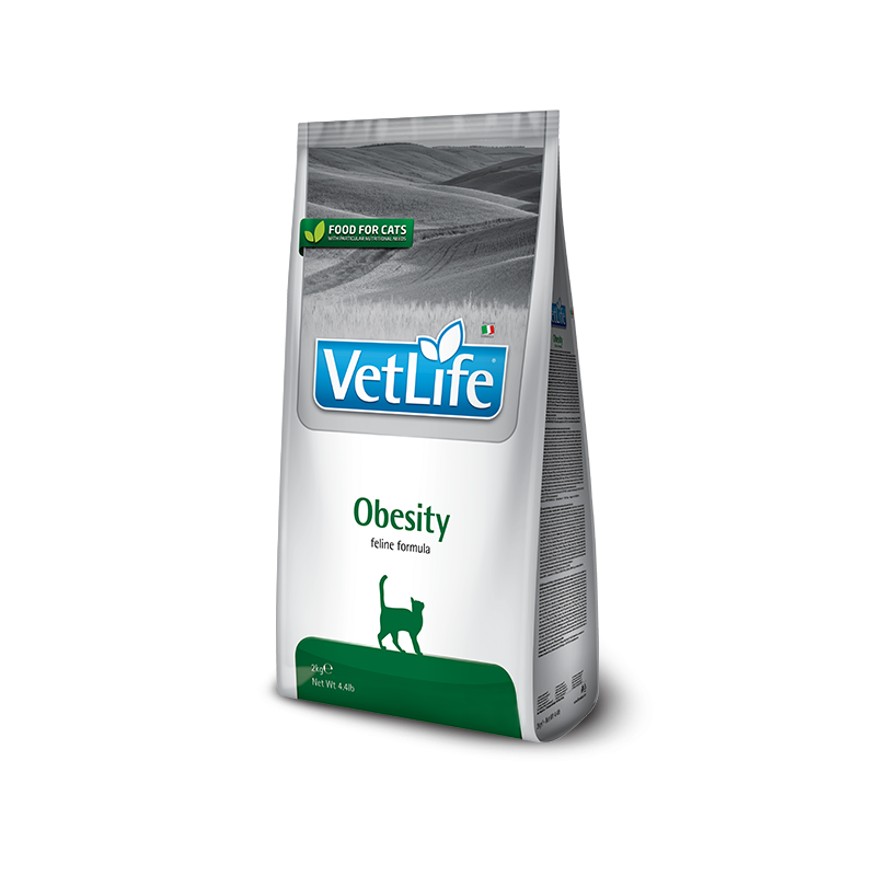 VET LIFE CAT OBESITY 400 GR