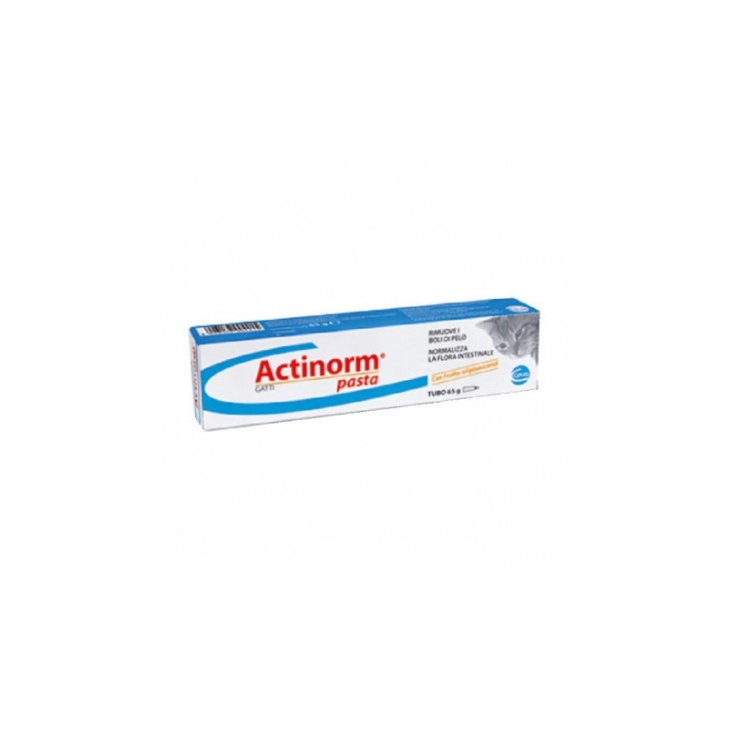 ACTINORM PASTA GATTI 65 GR