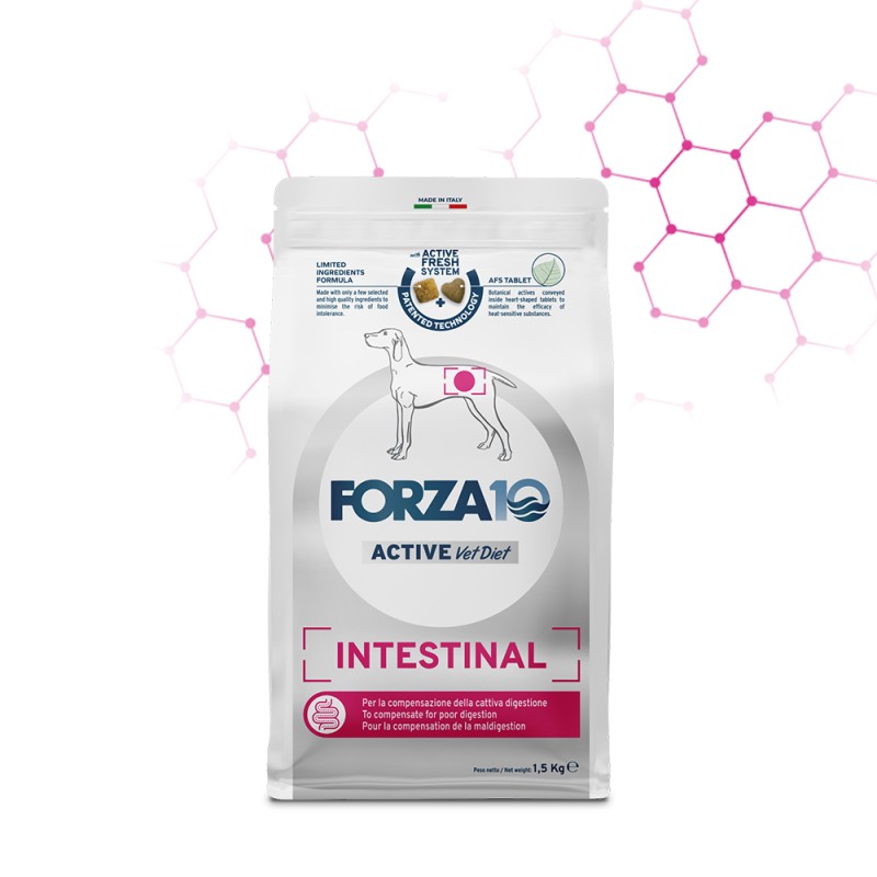 FORZA 10 INTESTINAL ACTIVE 10 KG