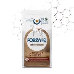 FORZA 10 INTESTINAL COLON FASE II ACTIVE 10 KG