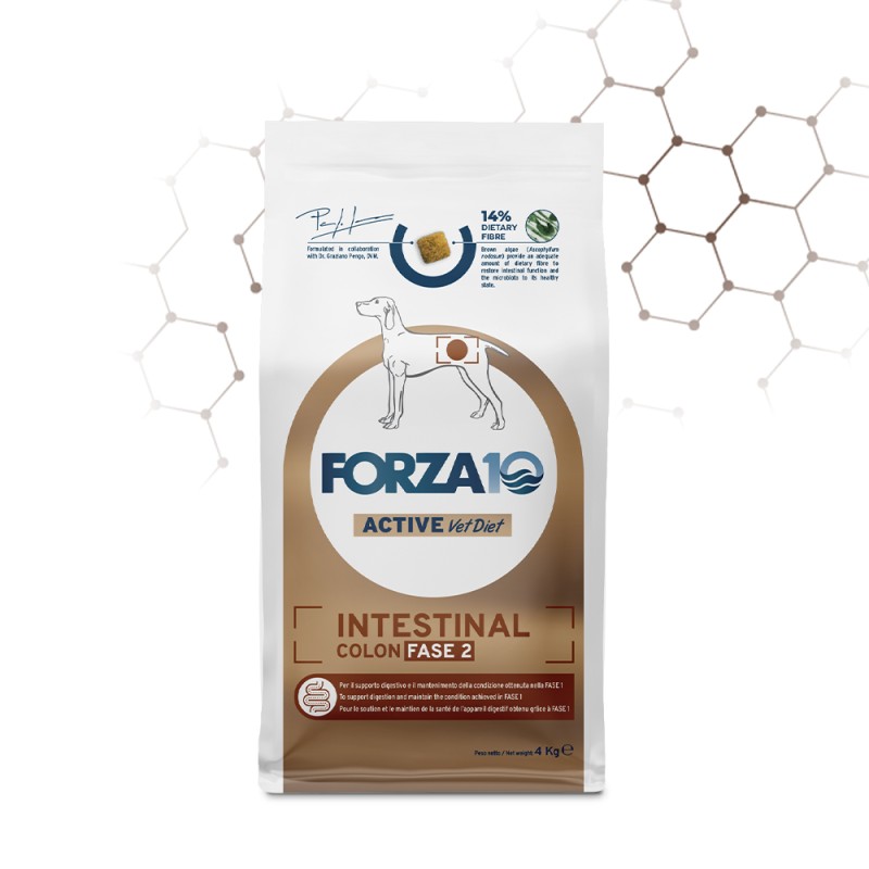 FORZA 10 INTESTINAL COLON FASE II ACTIVE 10 KG