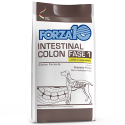 FORZA 10 INTESTINAL COLON FASE 1 AGNELLO 10 KG