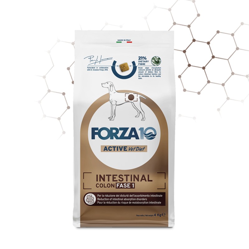 FORZA 10 INTESTINAL COLON FASE I ACTIVE 10 KG